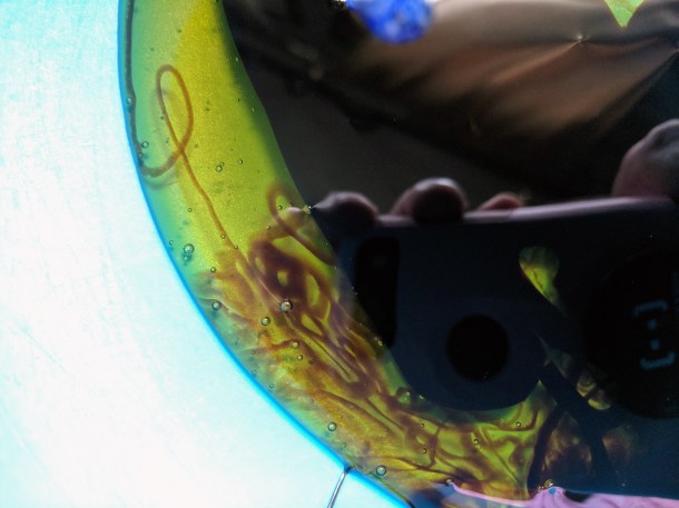 black and golden mix